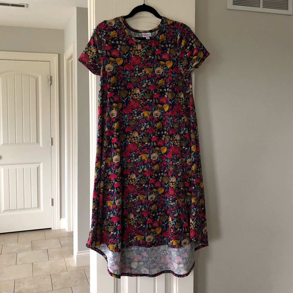 LuLaRoe Carly Dress XS